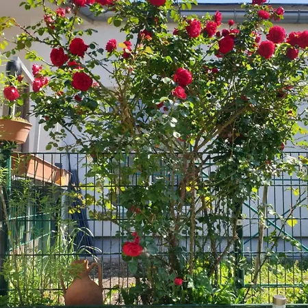 Ferienapartment Neunkirchen