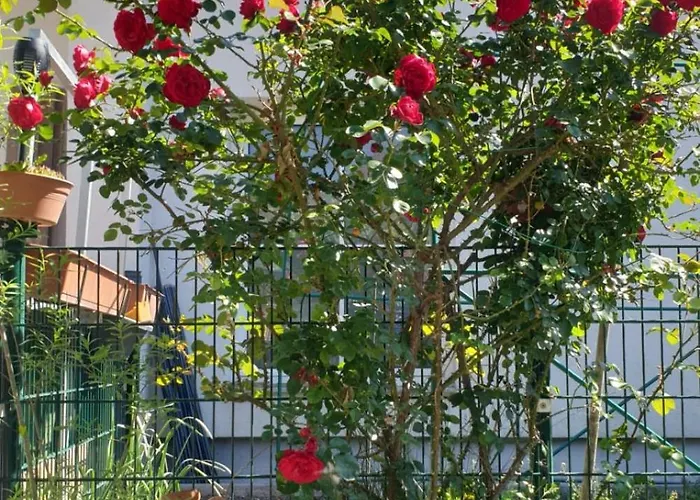 Ferienapartment Neunkirchen